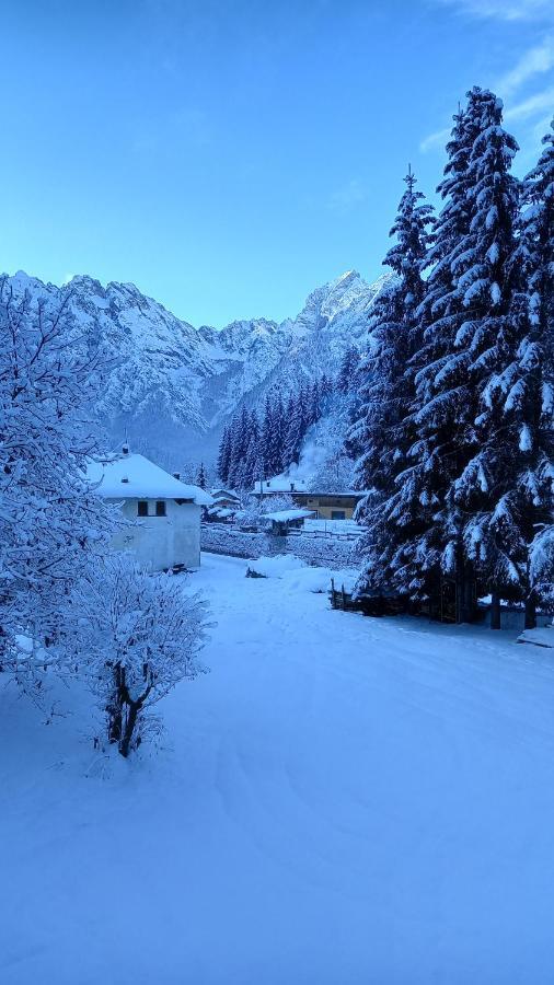 Darenato Apartment Santo Stefano Di Cadore Luaran gambar