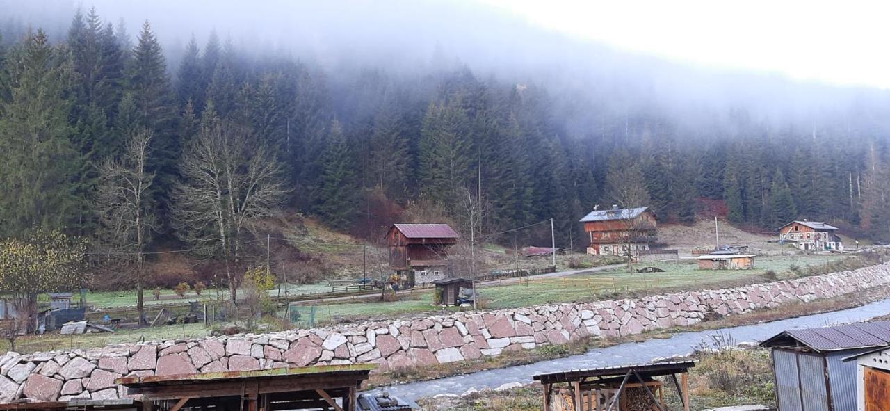 Darenato Apartment Santo Stefano Di Cadore Luaran gambar
